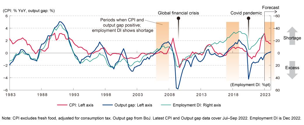 Prices, output gap, and labor shortages (Japan)