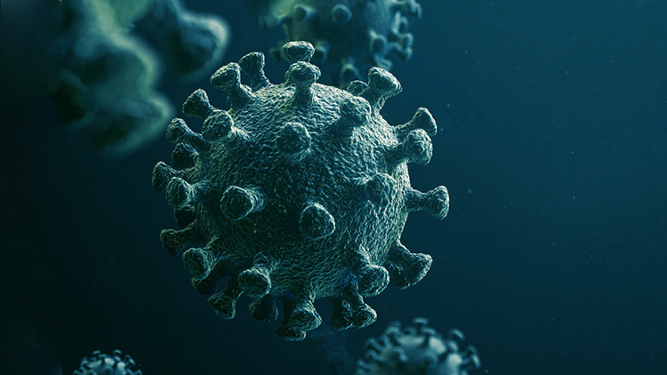 新型コロナウイルス（COVID-19）危機対策：分析と提言