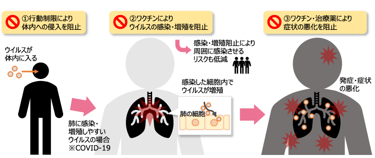 図5　ウイルス感染から身を守る3つのポイント