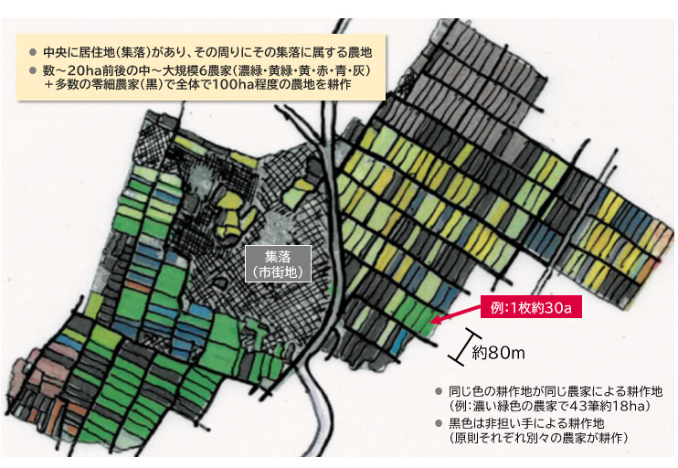 日本の水田地帯における耕作状況イメージ図