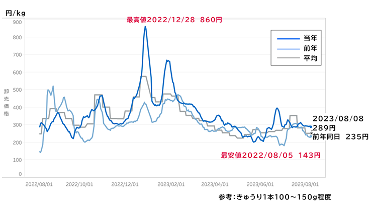 きゅうり卸売価格の推移（2022/08～2023/08東京都中央卸売市場）