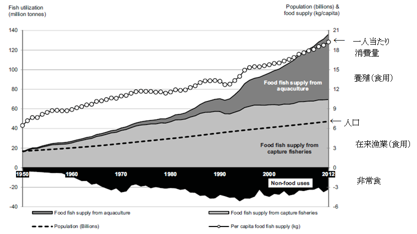 世界の水産品水揚げ高と一人当たり消費量の推移